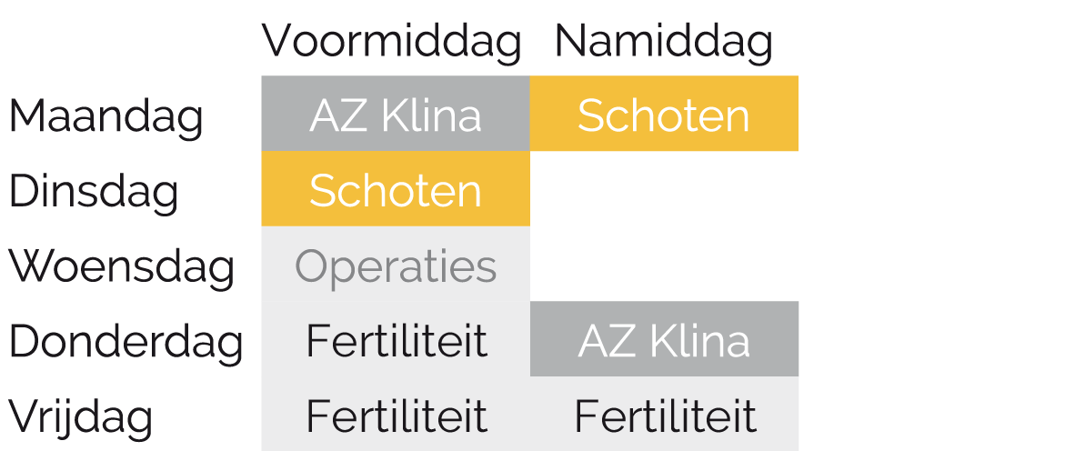Schema Dr. Céline Verougstraete Schema Dr. Céline Verougstraete