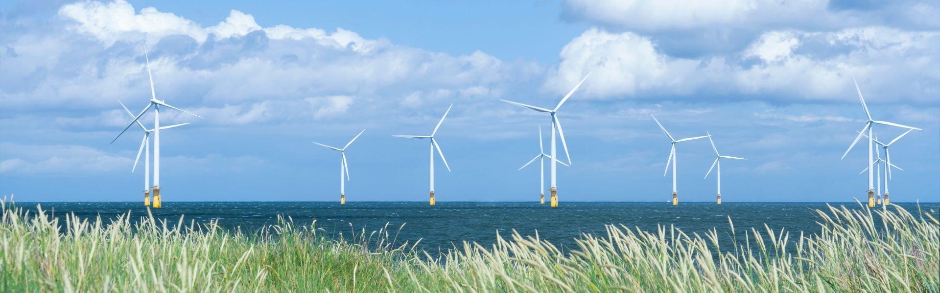 Partner in onshore and offshore rope access, inspections and coating - Future Services Oostende Partner in onshore and offshore rope access, inspections and coating - Future Services Oostende