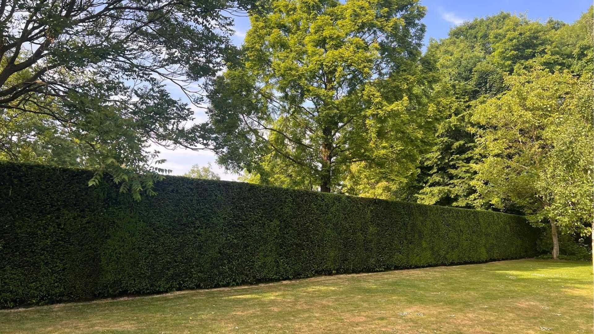 professioneel gazononderhoud sint niklaas